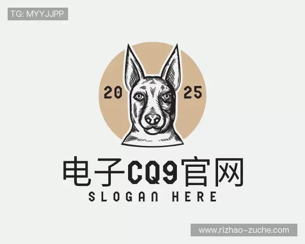 发现电子cq9官网